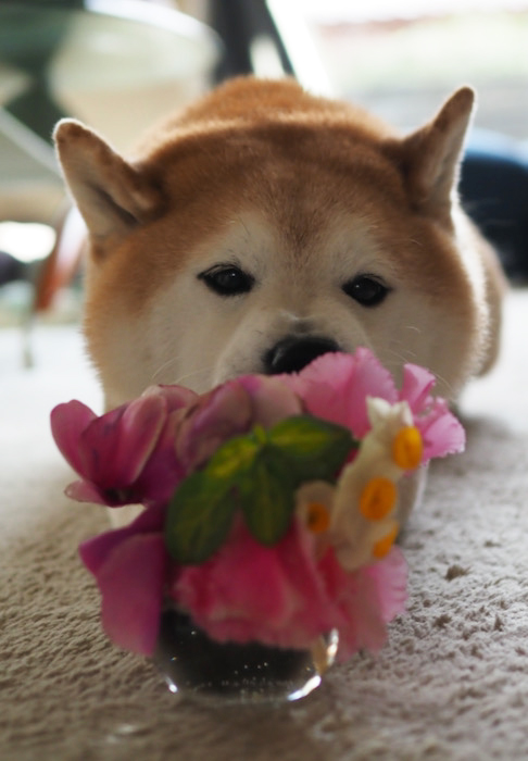 6日ブログ２