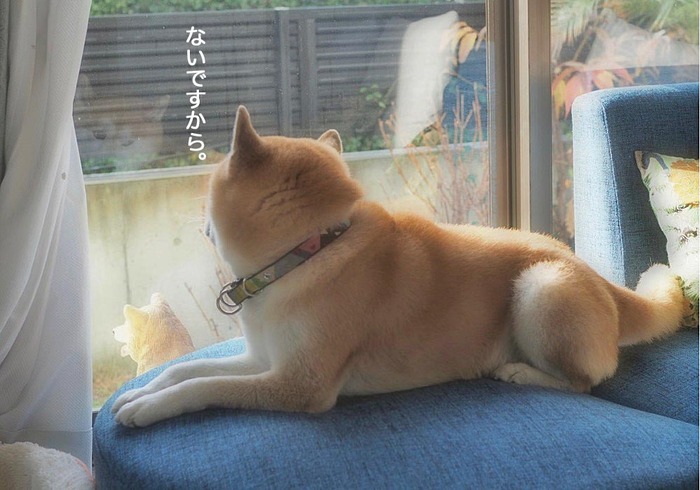 15日夜ブログ６