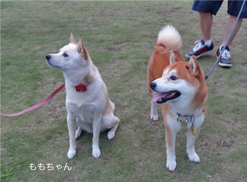 27日ブログ3.jpg