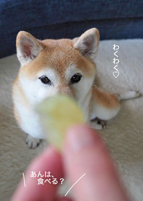 14日ブログ１３