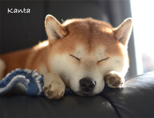 21日ブログ6.jpg