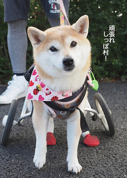1日ブログ８