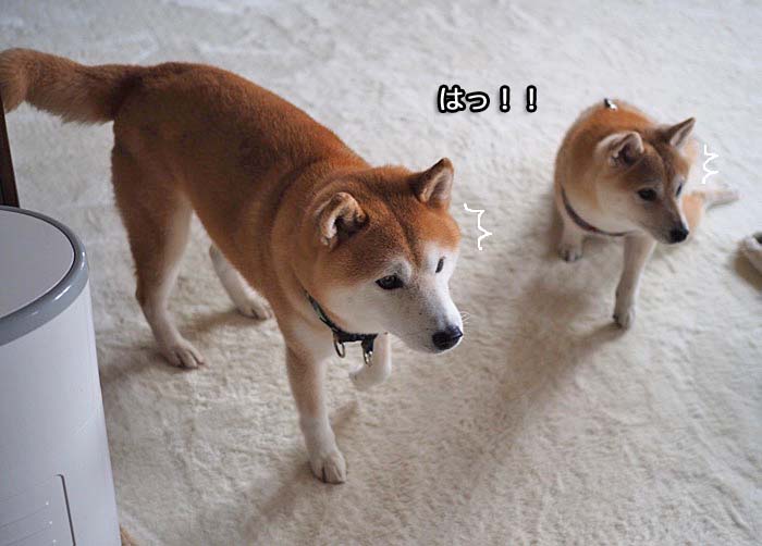 5日ブログ１