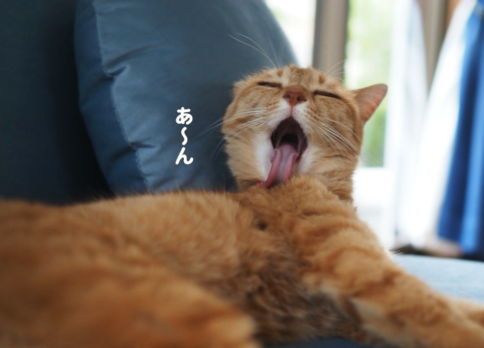 28日夕ブログ８