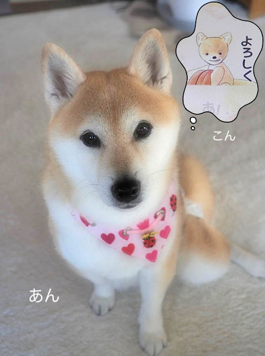 13日ブログ４