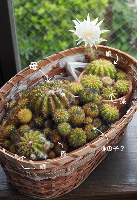 10日ブログ２