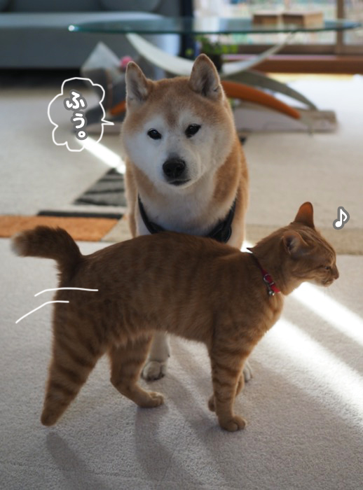 20日夕ブログ６