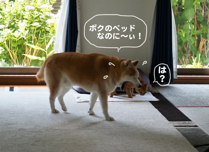 21日夕ブログ２