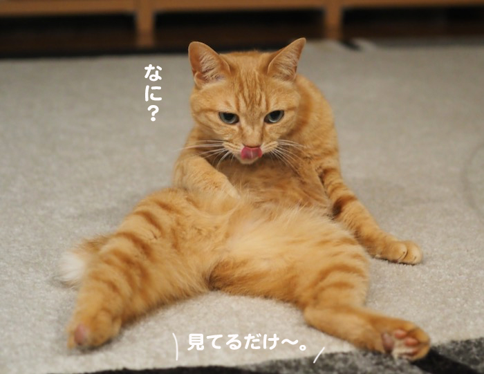 19日夜ブログ５-(1)