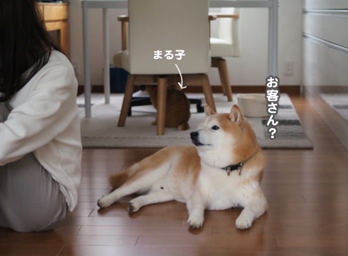 9日夕ブログ７