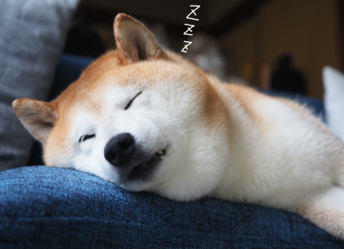 18日ブログ５