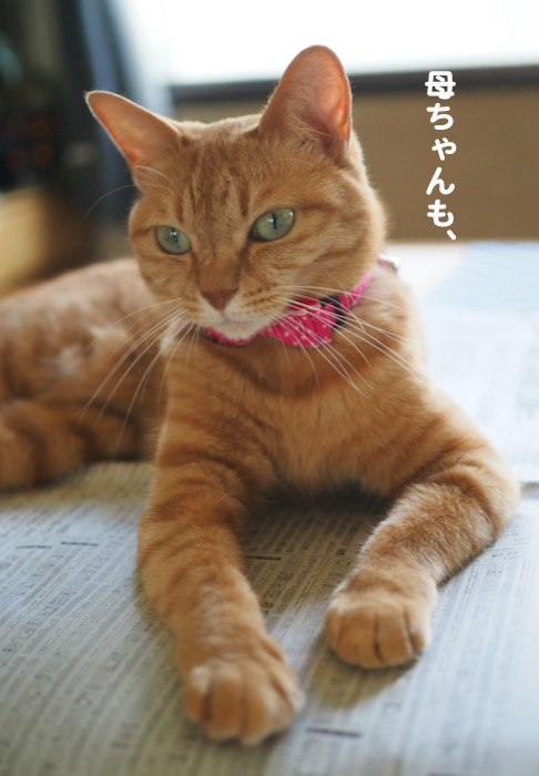 2日夕ブログ６