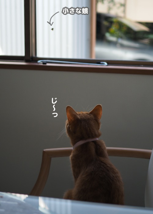 19日夕ブログ6