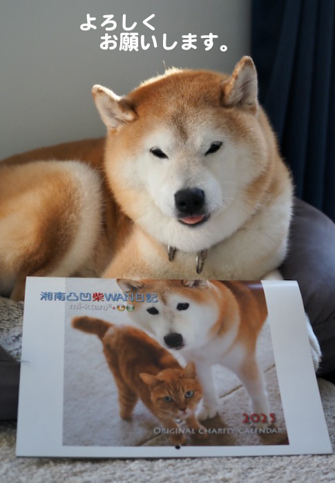 19日夕ブログ１０