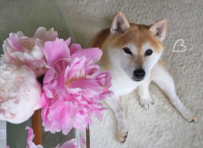 18日ブログ７