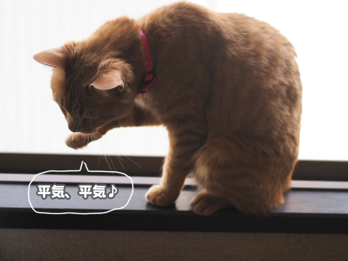23日夕ブログ４