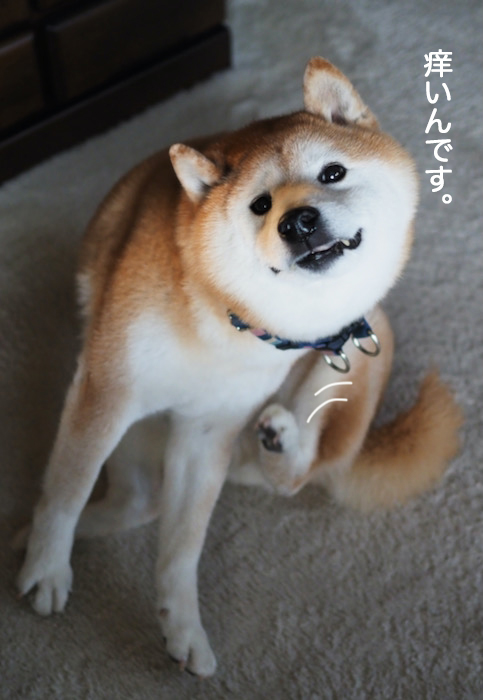 9日夜ブログ８