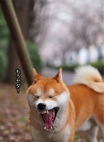 28日ブログ4.jpg