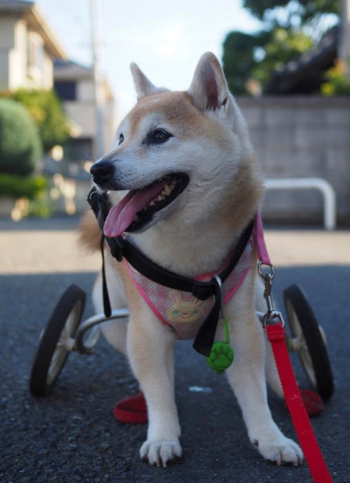 1日ブログ４