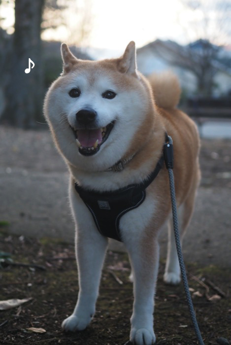 8日夕ブログ３