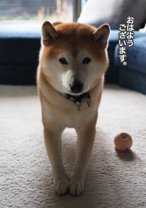 19日ブログ１