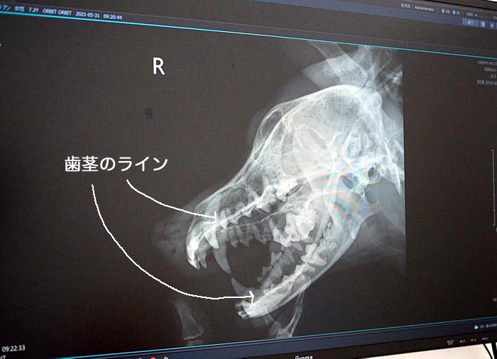 3日夕ブログ３