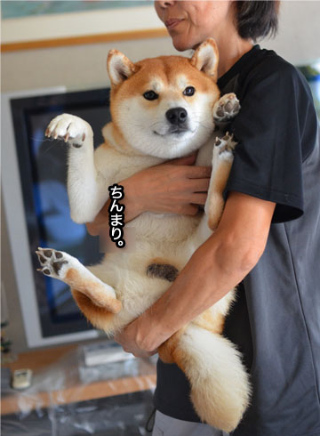 26日ブログ7.jpg