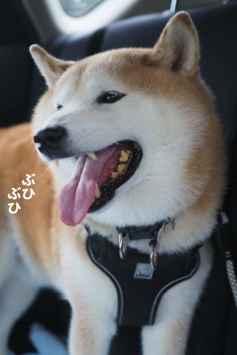 23日夕ブログ18