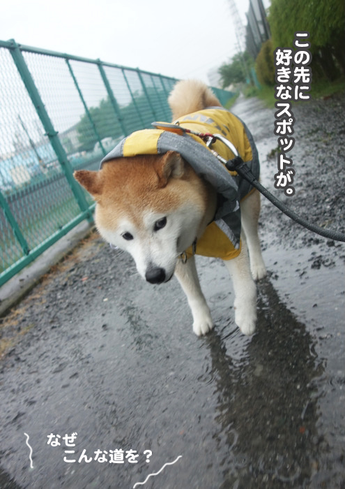 1日のブログ４
