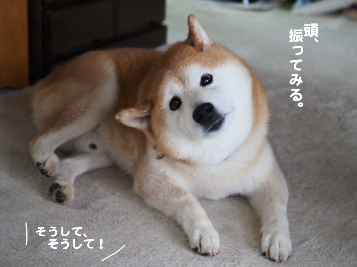 27日夕ブログ１１