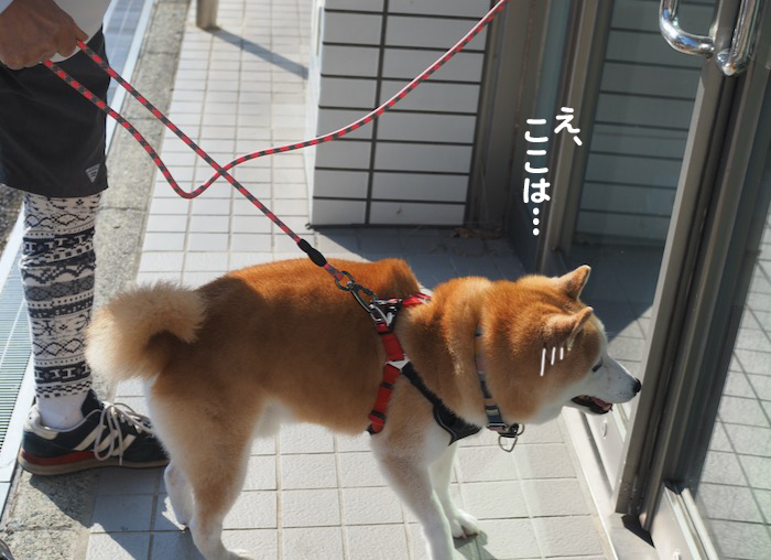 2日夕ブログ５