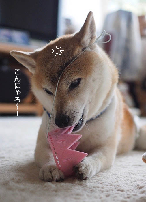 7日ブログ１０