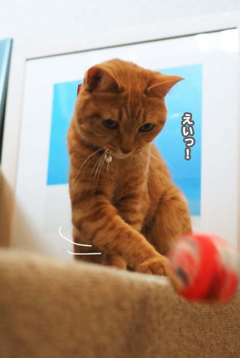 15日夕ブログ４