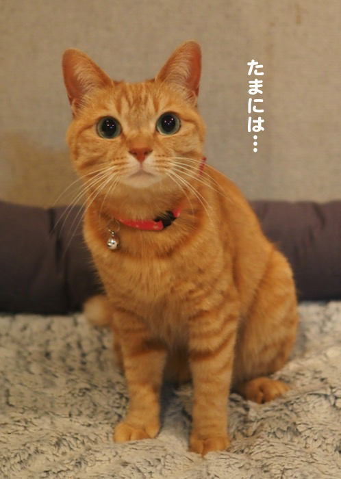 27日夕ブログ４