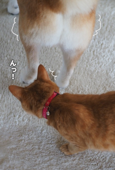 9日夕ブログ２