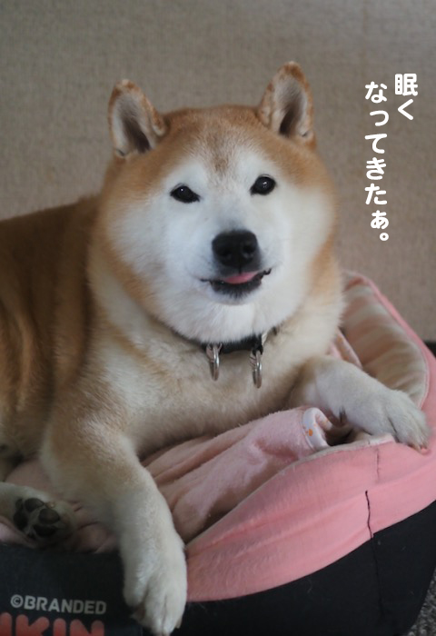 27日夕ブログ６
