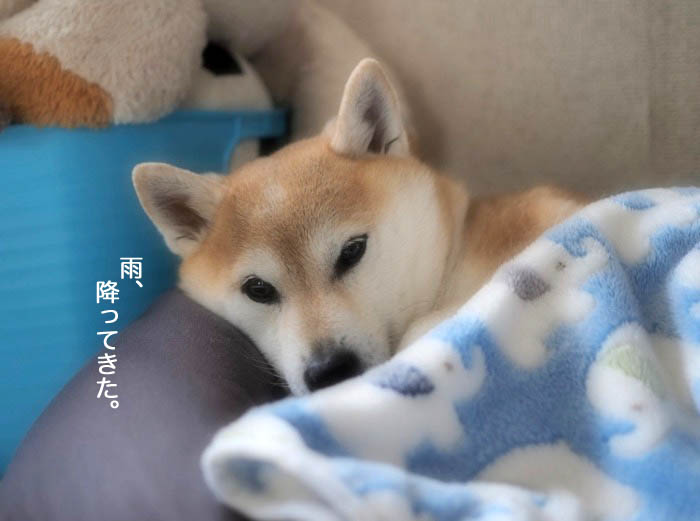 23日午前ブログ２