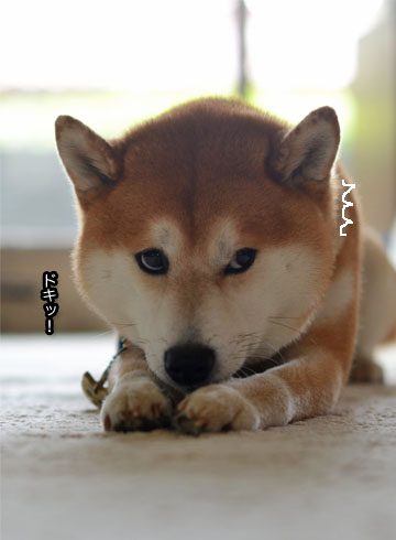 8日ブログ10.jpg