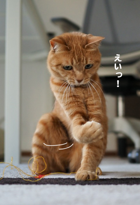 29日夕ブログ３
