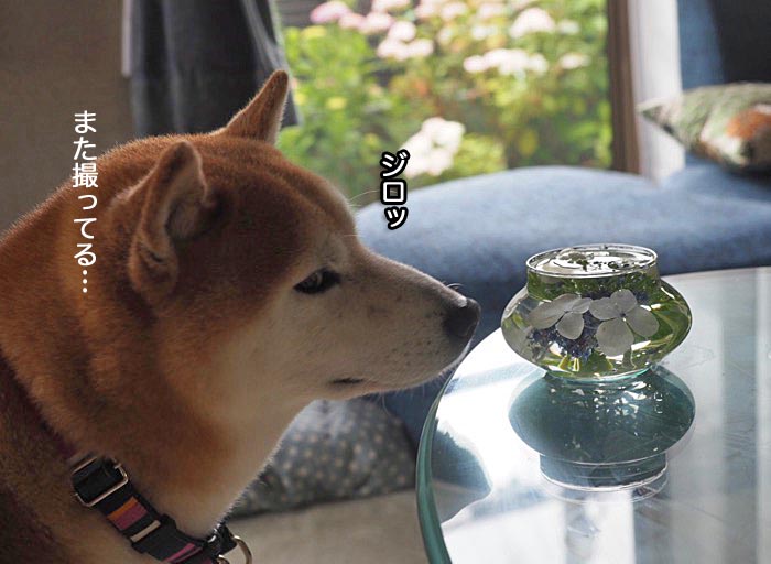 12日ブログ２