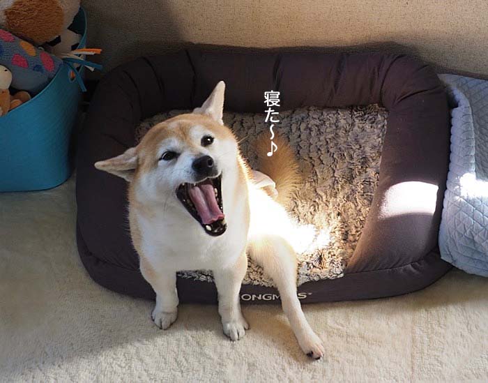 12日ブログ４