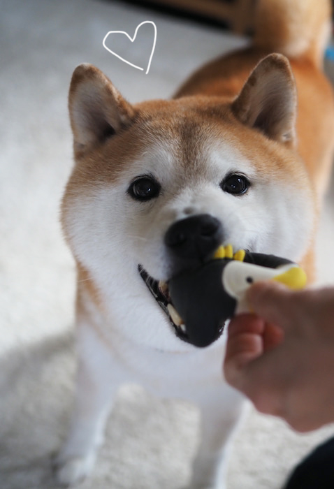 22日ブログ８