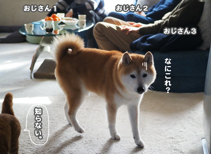 7日夕ブログ１２