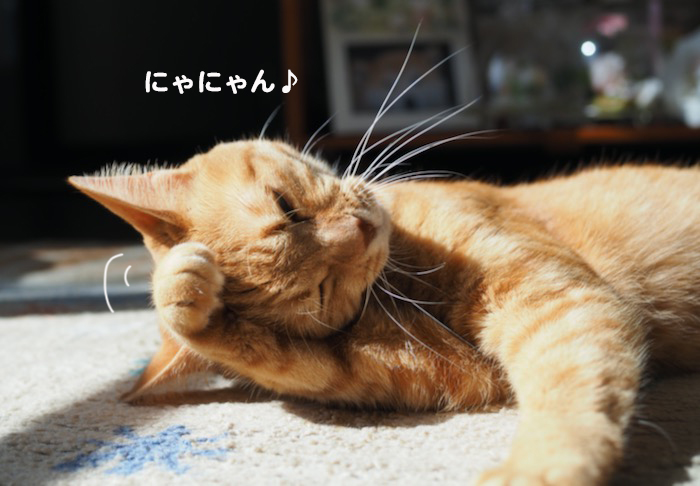 5日ブログ１