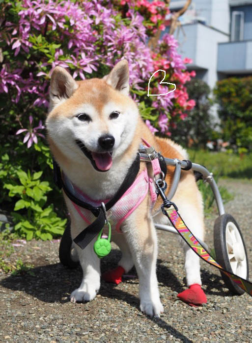 17日ブログ８