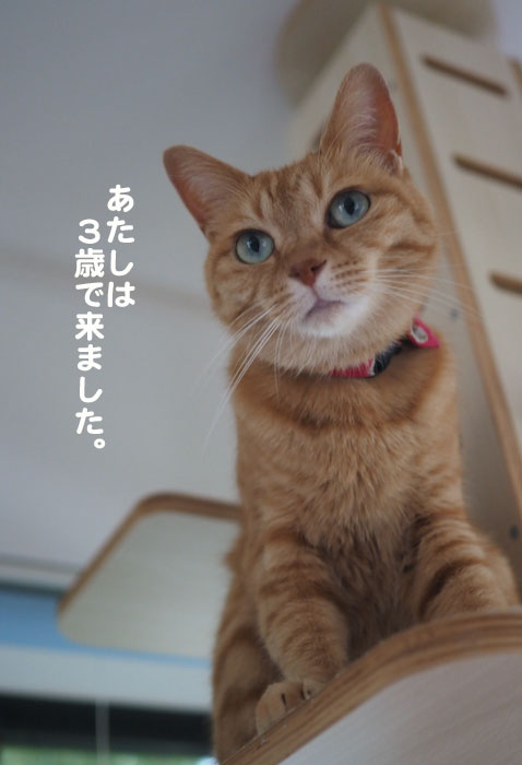 23日夕ブログ３