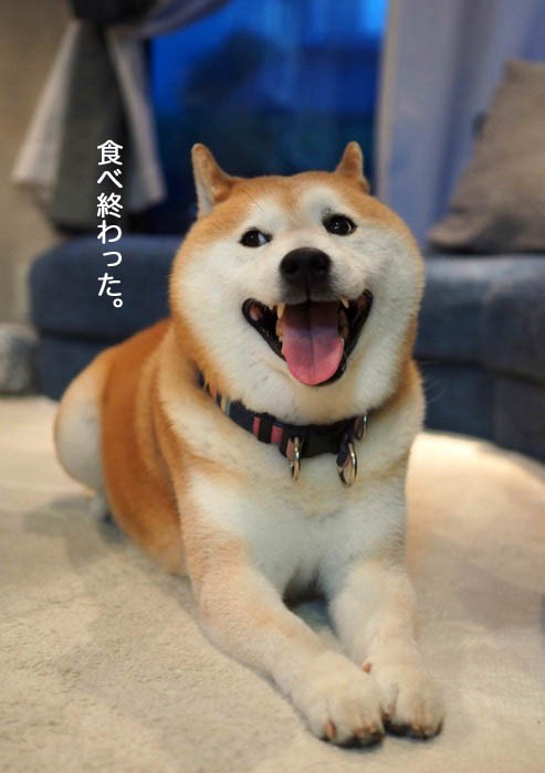 20日夜ブログ２