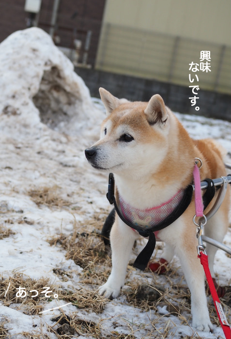 8日夜ブログ５