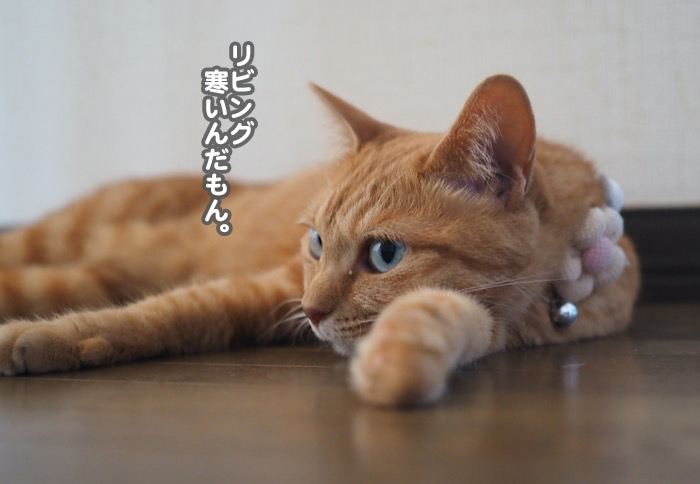 4日夕ブログ５