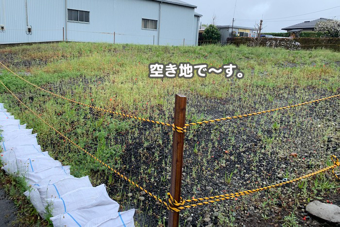 9日夕ブログ２